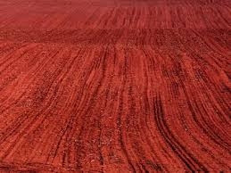 Red soil