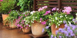 Flower pots